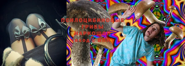 соль ск Белокуриха